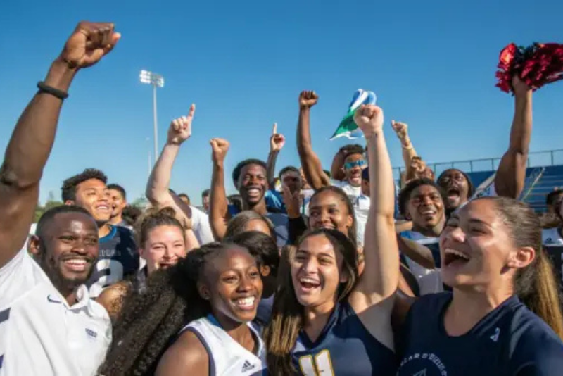 Sports organizations | ochlos